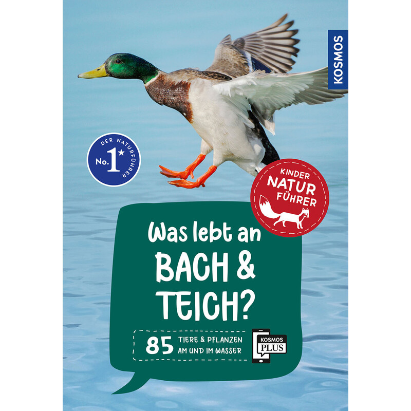 Kosmos Verlag Was lebt an Bach und Teich?